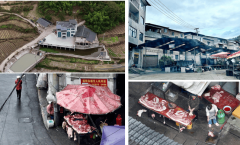 食物平安关乎平易近生福祉依法整治迫正在眉睫